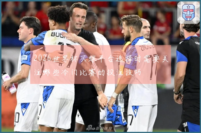 2026世界杯买球平台选择时需要关注哪些冷门比赛的投注技巧
