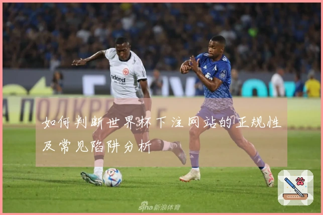 如何判断世界杯下注网站的正规性及常见陷阱分析