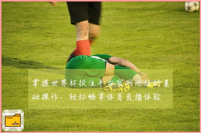 掌握世界杯投注平台官网地址的基础操作，轻松畅享体育直播体验