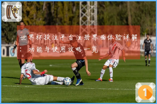 世界杯投注平台注册界面体验详解：功能与使用攻略一览