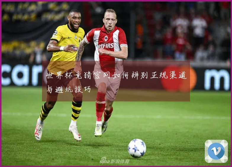 世界杯竞猜官网如何辨别正规渠道与避坑技巧