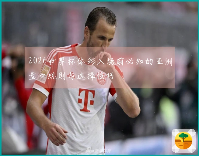 2026世界杯体彩入场前必知的亚洲盘口规则与选择技巧