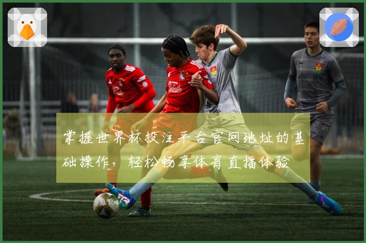 掌握世界杯投注平台官网地址的基础操作，轻松畅享体育直播体验