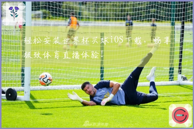 轻松安装世界杯买球iOS下载,畅享极致体育直播体验!