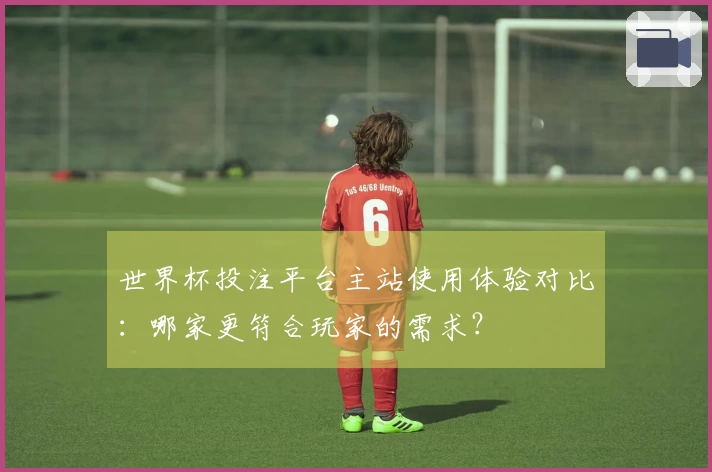 世界杯投注平台主站使用体验对比：哪家更符合玩家的需求？