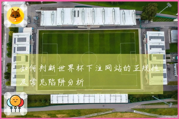 如何判断世界杯下注网站的正规性及常见陷阱分析