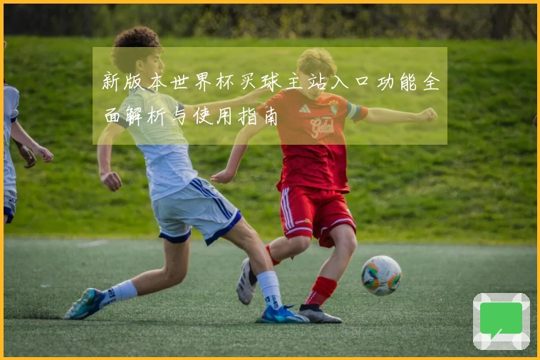 新版本世界杯买球主站入口功能全面解析与使用指南