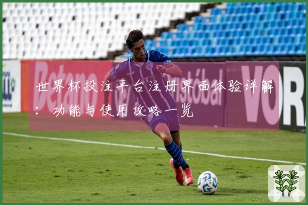 世界杯投注平台注册界面体验详解：功能与使用攻略一览